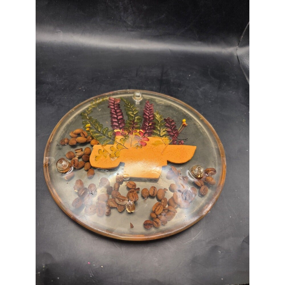Vintage Glowing Lucite Trivet Hot Plate With Dried Botanicals